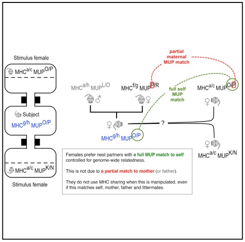 Screenshot 2015-10-11 20.57.39